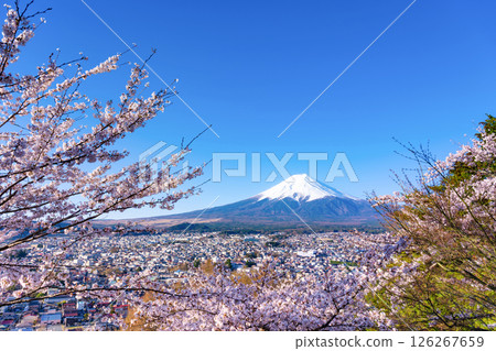 Spring scenery from Arakurayama Sengen Park in Fujiyoshida, Yamanashi Prefecture Spring scenery from Arakurayama Sengen Park in Fujiyoshida, Yamanashi Prefecture 126267659