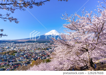 Spring scenery from Arakurayama Sengen Park in Fujiyoshida, Yamanashi Prefecture Spring scenery from Arakurayama Sengen Park in Fujiyoshida, Yamanashi Prefecture 126267688