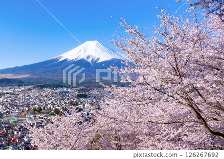 Spring scenery from Arakurayama Sengen Park in Fujiyoshida, Yamanashi Prefecture 126267692