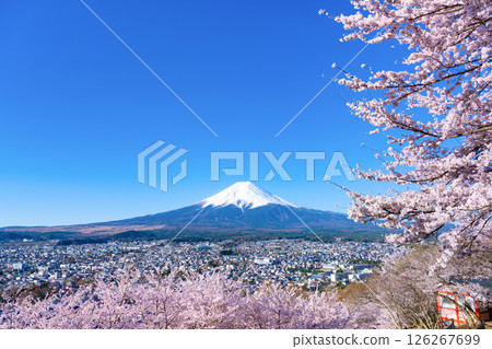 山梨縣富士吉田市新倉山淺間公園的春天景色 126267699