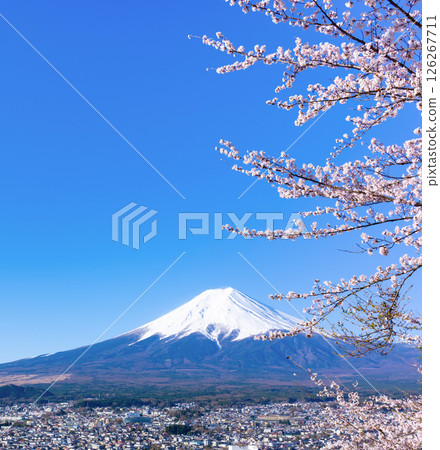 Spring scenery from Arakurayama Sengen Park in Fujiyoshida, Yamanashi Prefecture 126267711