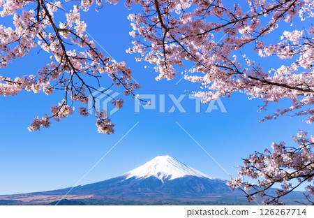 Spring scenery from Arakurayama Sengen Park in Fujiyoshida, Yamanashi Prefecture 126267714