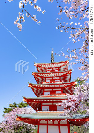 Spring scenery from Arakurayama Sengen Park in Fujiyoshida, Yamanashi Prefecture Spring scenery from Arakurayama Sengen Park in Fujiyoshida, Yamanashi Prefecture 126267753