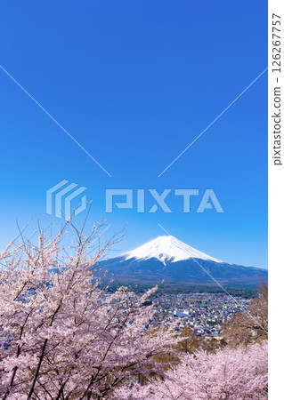 山梨縣富士吉田市新倉山淺間公園的春天景色 山梨縣富士吉田市新倉山淺間公園的春天景色 126267757