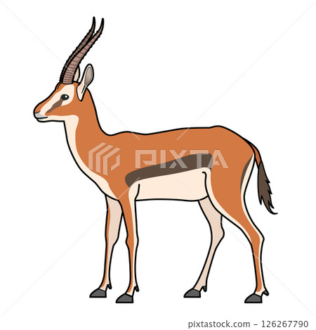 Thomson Gazell Thomson Gazell 126267790