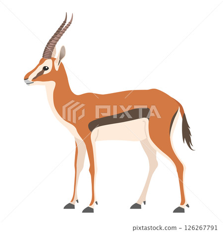 湯姆森加澤爾 126267791