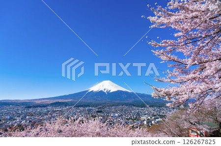 Spring scenery from Arakurayama Sengen Park in Fujiyoshida, Yamanashi Prefecture 126267825