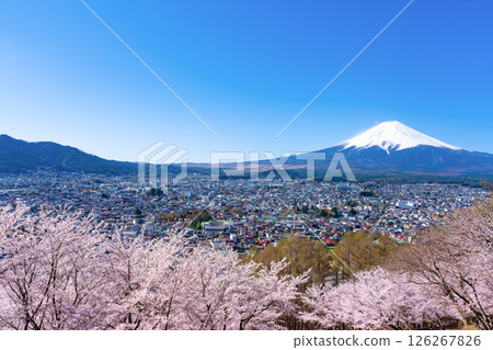 山梨縣富士吉田市新倉山淺間公園的春天景色 126267826