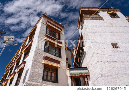 Likir Monastery in Ladakh, India 126267945