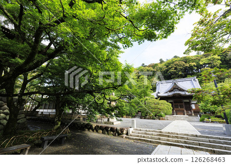Spring at Shuzenji Temple in Shuzenji Spring at Shuzenji Temple in Shuzenji 126268463