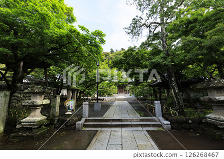 修善寺的春天 修善寺的春天 126268467