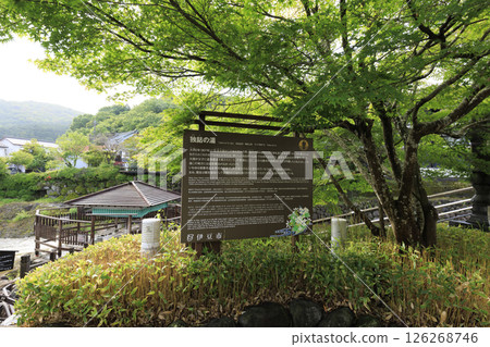 修善寺溫泉竹林小徑 修善寺溫泉竹林小徑 126268746