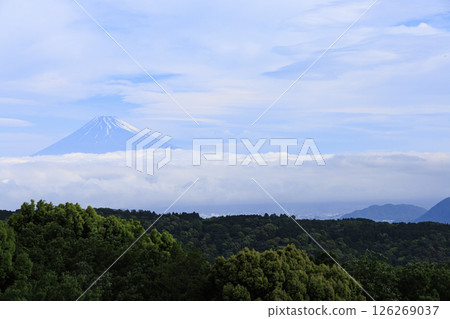 從達磨山看富士山 從達磨山看富士山 126269037