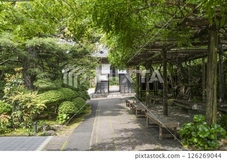 East gate of Ryutanji Temple (Hamamatsu City) 126269044
