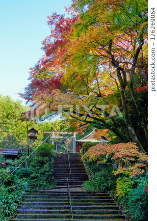 被秋葉包圍的日向大神宮 被秋葉包圍的日向大神宮 126269064