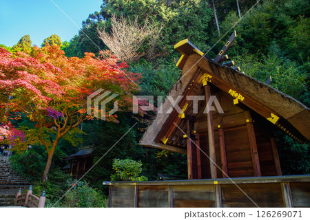 被秋葉包圍的日向大神宮 126269071