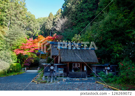 被秋葉包圍的日向大神宮 被秋葉包圍的日向大神宮 126269072