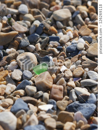 在海灘邊緣的海草 126269118