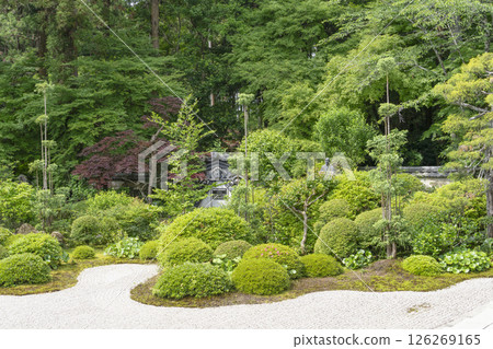 Garden in front of the main hall of Ryutanji Temple (Hamamatsu City) 126269165