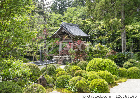 從龍潭寺正殿眺望鐘樓（濱松市） 126269169