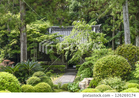 從龍潭寺正殿眺望仁王門（濱松市） 126269174