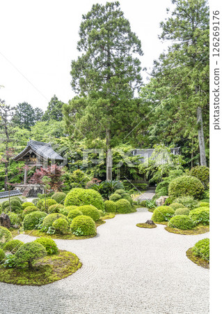 Garden in front of the main hall of Ryutanji Temple (Hamamatsu City) 126269176
