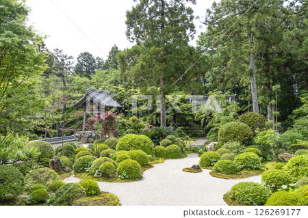 龍潭寺前庭園（濱松市） 126269177