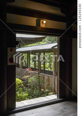 龍潭寺(濱松市)- 從本堂到開山堂的迴廊 龍潭寺(濱松市)- 從本堂到開山堂的迴廊 126269180