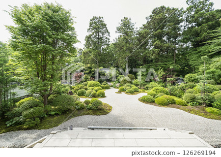 龍潭寺前庭園（濱松市） 126269194