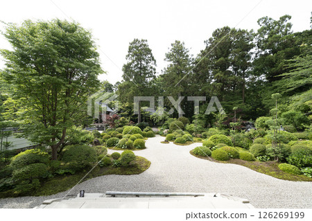 龍潭寺前庭園（濱松市） 126269199