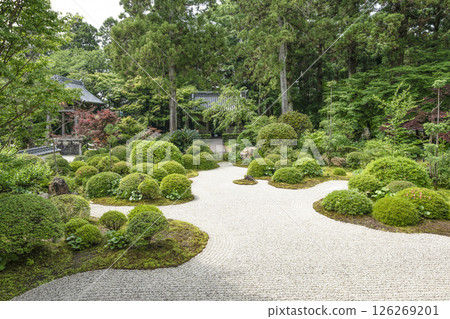 龍潭寺前庭園(濱松市) 龍潭寺前庭園(濱松市) 126269201