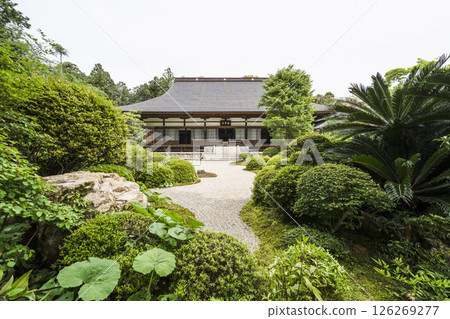 龍潭寺本殿(濱松市) 龍潭寺本殿(濱松市) 126269277