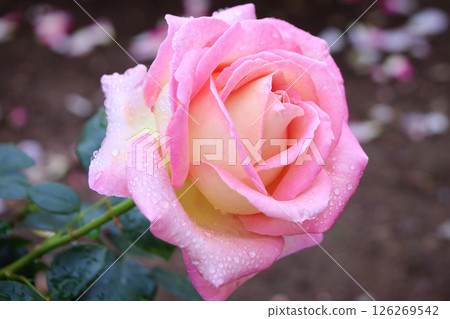 Baller Baller 126269542