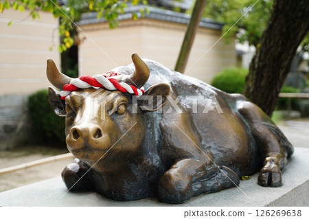 九州神宮：太宰府 126269638