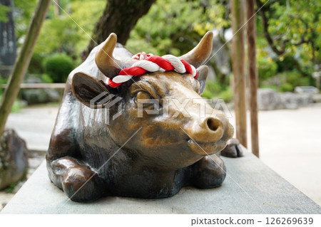 九州神宮：太宰府 126269639