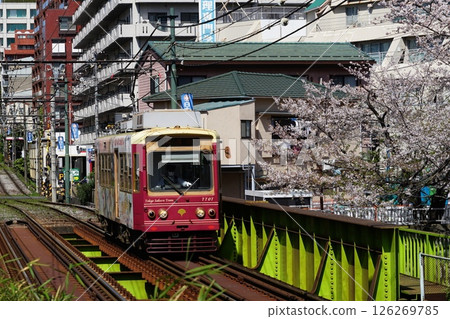 A streetcar passing through Takato Bridge with cherry blossoms in full bloom April Toshima 155 Cherry blossoms, streetcar and Takato Bridge A streetcar passing through Takato Bridge with cherry blossoms in full bloom April Toshima 155 Cherry blossoms, streetcar and Takato Bridge 126269785