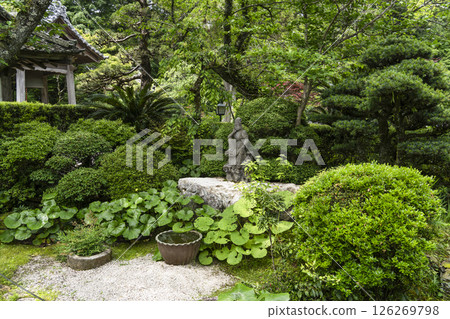 龍潭寺(濱松市)境內 龍潭寺(濱松市)境內 126269798