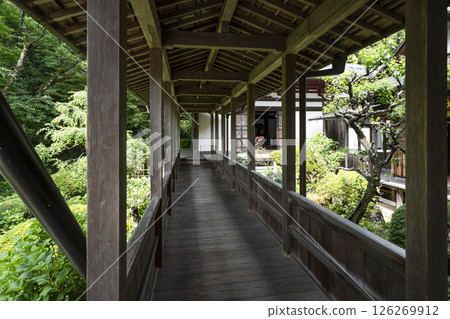 龍潭寺（濱松市）從本堂到開山堂 126269912