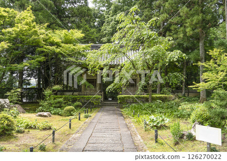 龍潭寺仁王門(濱松市) 龍潭寺仁王門(濱松市) 126270022