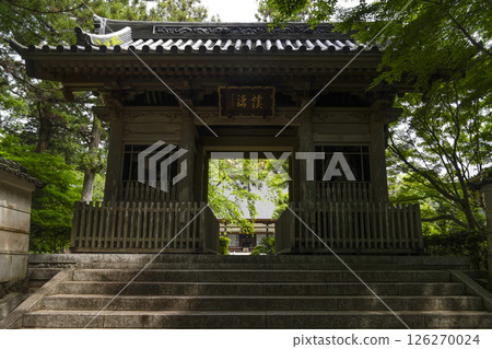 Niomon Gate at Ryutanji Temple (Hamamatsu City) 126270024