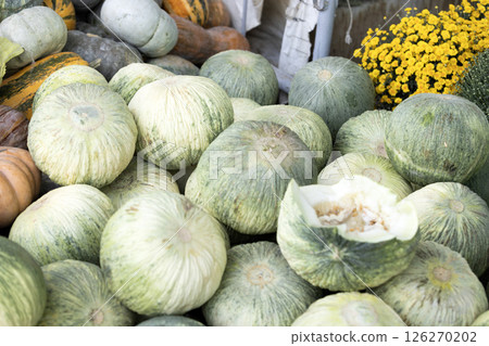 the big wax gourds are on sale in Siyob bazaar or so called Siab bazaar is the biggest bazaar in Samarkand. the big wax gourds are on sale in Siyob bazaar or so called Siab bazaar is the biggest bazaar in Samarkand. 126270202