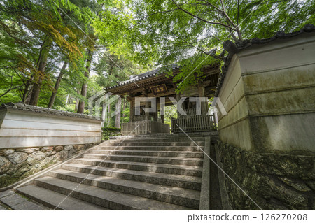 龍潭寺（濱松市）仁王門正面 126270208
