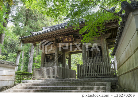 龍潭寺（濱松市）仁王門正面 126270209