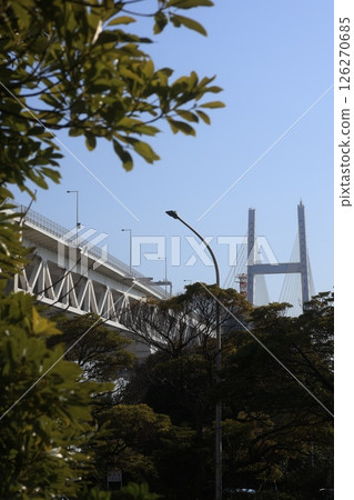 橫濱海灣大橋風景 126270685
