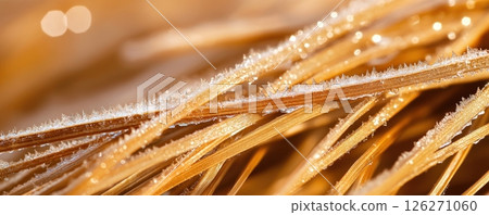 Sparkling Frost Crystals on Nature Background with Delicate Patterns and Textures 126271060