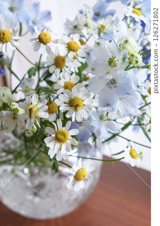 Matricaria and blue flowers in a vase 126271802