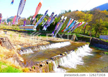 山形市高瀨川鯉魚旗、鯉魚旗、鯉魚旗 山形市高瀨川鯉魚旗、鯉魚旗、鯉魚旗 126271916