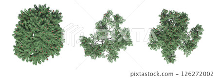 large tree with a shadow under it, isolated on a transparent background, 3D illustration, cg render large tree with a shadow under it, isolated on a transparent background, 3D illustration, cg render 126272002