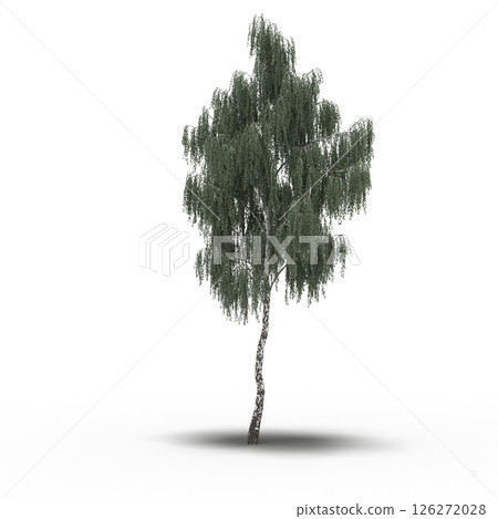 large tree with a shadow under it, isolated on a transparent background, 3D illustration, cg render 126272028