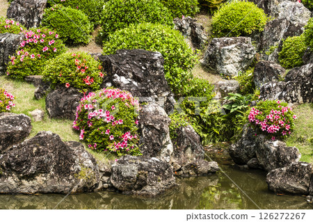 龍潭寺庭園（濱松市） 126272267
